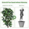 6 Feet Artificial Ficus Silk Tree