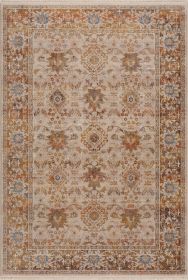 Stylish Classic Pattern Design Vintage Bohemian Southwestern Sierra Area Rug (Color: Ivory|Beige, size: 7'9" X 10')